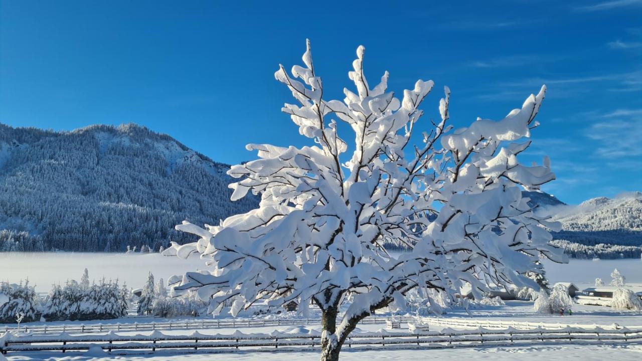 Hotel Winkler-Tuschnig Weissensee Exteriör bild